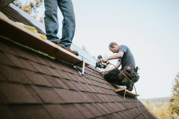 Best Roof Leak Repair  in Gateway, AK
